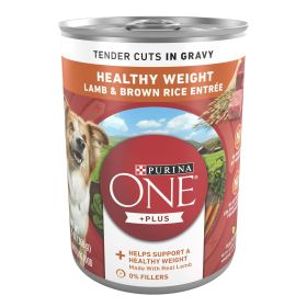 Purina ONE +Plus Lamb & Brown Rice Gravy Wet Dog Food 13 oz Can