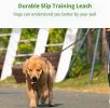 Dog Leash Durable Slip Training Lead Heavy Duty 6 FT Comfortable Strong Reflective Rope Slip Leash for Small Dogs Green