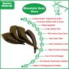 Mountain Goat Horn-100% Natural Dog Treat & Chews;  Grain-Free;  Gluten-Free;  Dog Chewing Dental Toys-Mixed Sizes; 10 Count-10 oz