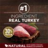 Purina One True Instinct Turkey and Venison Dry Dog Food 36 lb Bag