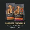 Purina Pro Plan Slices in Gravy Wet Dog Food for Adult Dogs Beef 13 oz Cans (12 Pack)