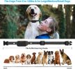 Dog Training Shock Collar w/Remote 1000ft Range for Small Medium  or Large Dogs