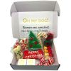 Christmas Themed Dog Treats Gift Box