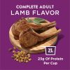 Purina Dog Chow High Protein Real Lamb Flavor Dry Dog Food 44 lb Bag