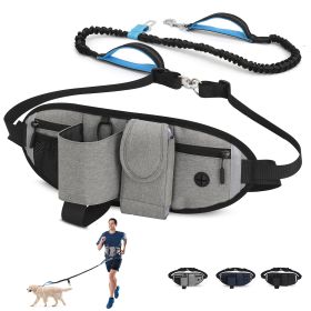 Hands Free Dog Leash with Waist Bag for Walking Small Medium Large Dogs;  Reflective Bungee Leash with Car Seatbelt Buckle and Dual Padded Handles;  A (Leash: 1 dog, Color: Grey)