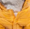 Lightweight Adjustable 'Sporty Avalanche' Pet Coat
