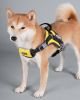 Dog Helios 'Scorpion' Sporty High-Performance Free-Range Dog Harness