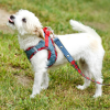 Step-In Denim Dog Harness - Red Plaid
