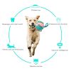 Dog Soccer Ball Interactive Pet Toys Foldable Ball Molar Toy Outdoor Training Ball for Puppy Dog Chew Dog Accessories