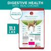 Purina One +Plus Dry Dog Food Digestive Health Formula 31.1 lb Bag