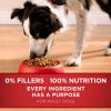 Purina ONE Dry Dog Food Lamb and Rice Formula